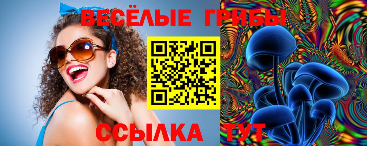 Псилоцибиновые грибы Cubensis  Псилоцибиновые грибы Psilocybine cubensis  Борзя  где найти наркотики  Вход с VPN 