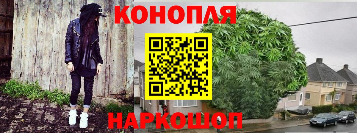 Бошки марихуана семена Борзя